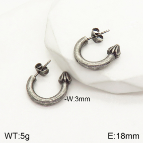 2E2004095bhva-262  Stainless Steel Earrings