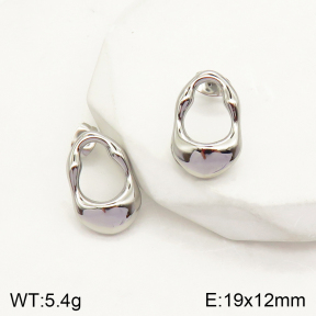 2E2004097bhia-262  Stainless Steel Earrings