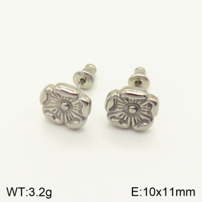 2E2004099vbpb-262  Stainless Steel Earrings