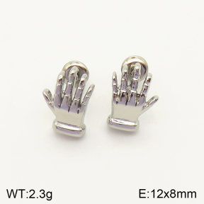 2E2004100vbpb-262  Stainless Steel Earrings