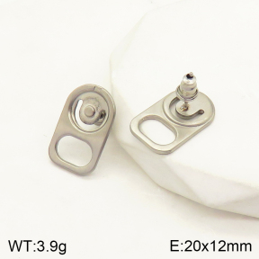 2E2004102vbnb-262  Stainless Steel Earrings