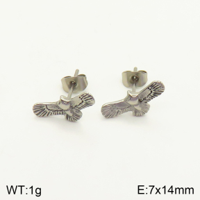 2E2004104vbpb-262  Stainless Steel Earrings