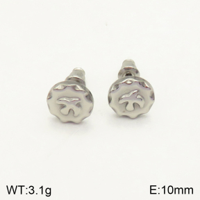 2E2004105vbpb-262  Stainless Steel Earrings