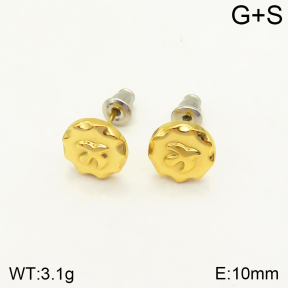 2E2004106bhva-262  Stainless Steel Earrings