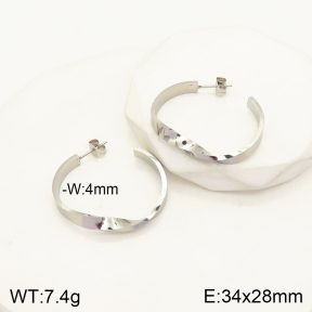 2E2004112vbnb-262  Stainless Steel Earrings