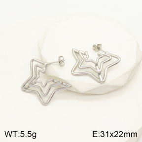 2E2004116vbll-434  Stainless Steel Earrings