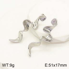 2E2004126vbnb-434  Stainless Steel Earrings