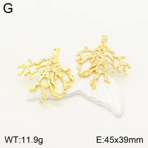 2E2004129bbml-434  Stainless Steel Earrings