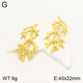 2E2004130bbml-434  Stainless Steel Earrings