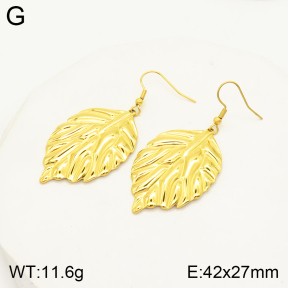 2E2004131vbmb-434  Stainless Steel Earrings