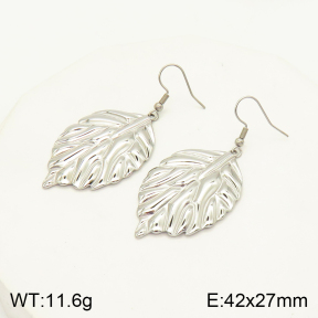 2E2004132vbll-434  Stainless Steel Earrings