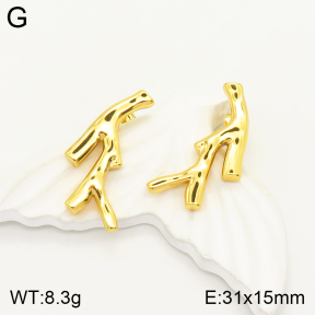 2E2004136vbll-434  Stainless Steel Earrings