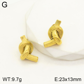 2E2004141vbmb-434  Stainless Steel Earrings