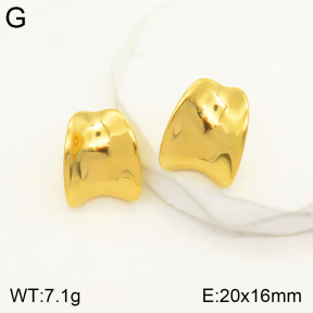 2E2004144vbpb-497  Stainless Steel Earrings