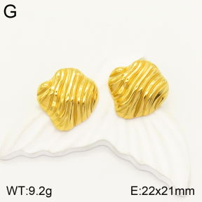 2E2004146vbpb-497  Stainless Steel Earrings