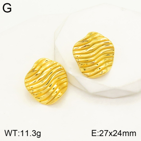 2E2004157bhva-497  Stainless Steel Earrings