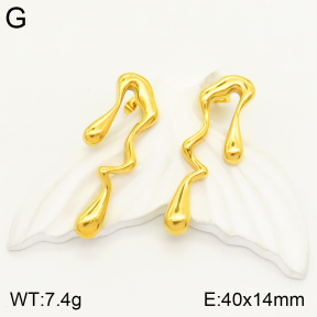 2E2004160abol-497  Stainless Steel Earrings