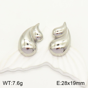 2E2004161vbnb-497  Stainless Steel Earrings