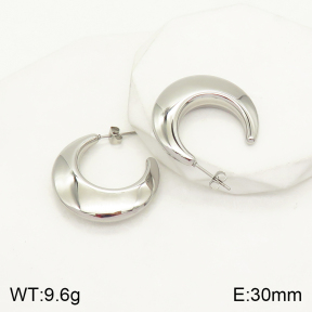 2E2004163abol-497  Stainless Steel Earrings