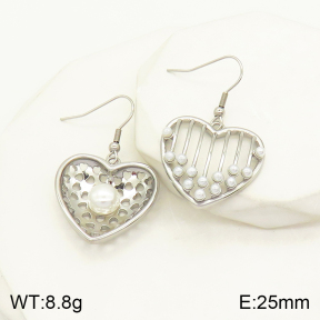 2E3002232vbnl-434  Stainless Steel Earrings