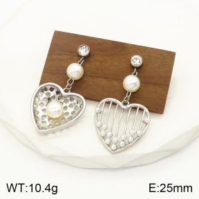 2E3002234abol-434  Stainless Steel Earrings