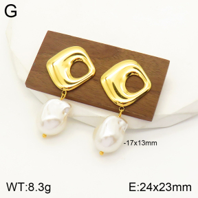 2E3002235vbnl-434  Stainless Steel Earrings