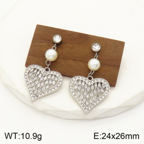 2E3002236bvpl-434  Stainless Steel Earrings