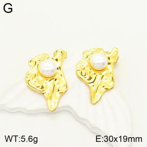 2E3002238vbmb-434  Stainless Steel Earrings