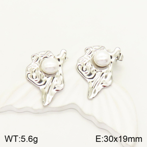 2E3002239vbll-434  Stainless Steel Earrings