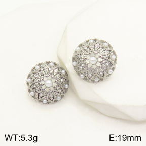 2E3002241vbnb-434  Stainless Steel Earrings