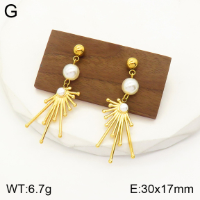 2E3002242vbnb-434  Stainless Steel Earrings