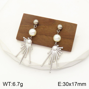 2E3002243bbml-434  Stainless Steel Earrings