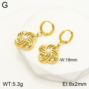 2E3002245vbnb-434  Stainless Steel Earrings