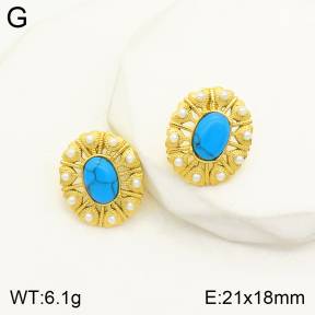 2E3002246vbnl-434  Stainless Steel Earrings