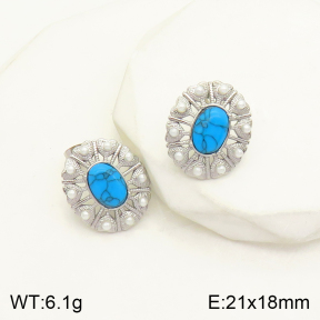 2E3002247vbnb-434  Stainless Steel Earrings