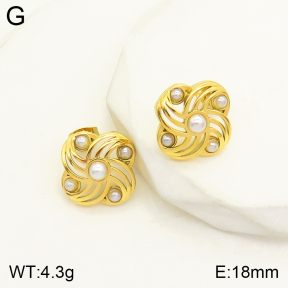 2E3002248bbml-434  Stainless Steel Earrings