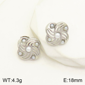 2E3002249vbmb-434  Stainless Steel Earrings