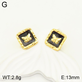 2E3002250aakl-434  Stainless Steel Earrings