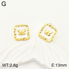 2E3002251aakl-434  Stainless Steel Earrings