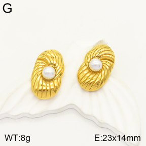 2E3002252vbpb-497  Stainless Steel Earrings