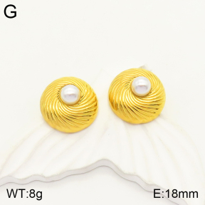 2E3002253vbpb-497  Stainless Steel Earrings