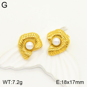 2E3002254vbpb-497  Stainless Steel Earrings