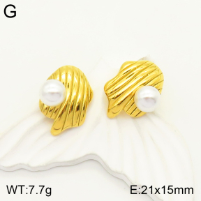 2E3002255vbpb-497  Stainless Steel Earrings