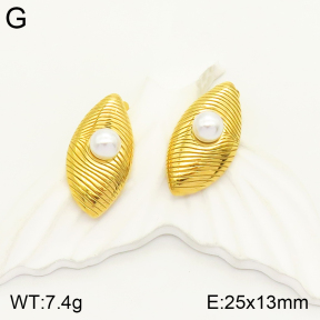 2E3002257vbpb-497  Stainless Steel Earrings