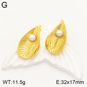 2E3002258vbpb-497  Stainless Steel Earrings