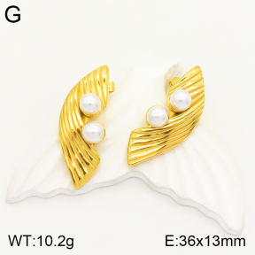 2E3002262bhva-497  Stainless Steel Earrings