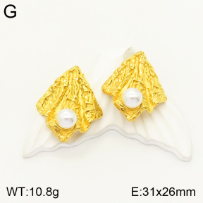 2E3002264vbpb-497  Stainless Steel Earrings