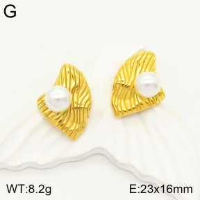 2E3002265vbpb-497  Stainless Steel Earrings