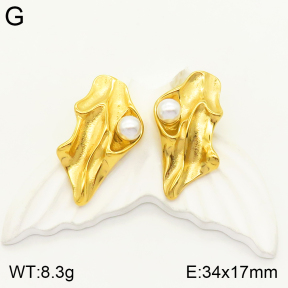 2E3002266vbpb-497  Stainless Steel Earrings