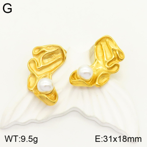 2E3002267vbpb-497  Stainless Steel Earrings